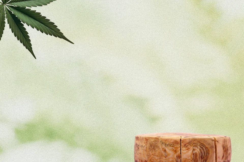 Premium CBD für dein Wohlbefinden