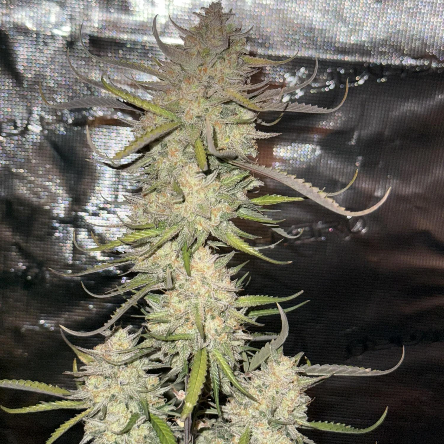 Produktbild 3