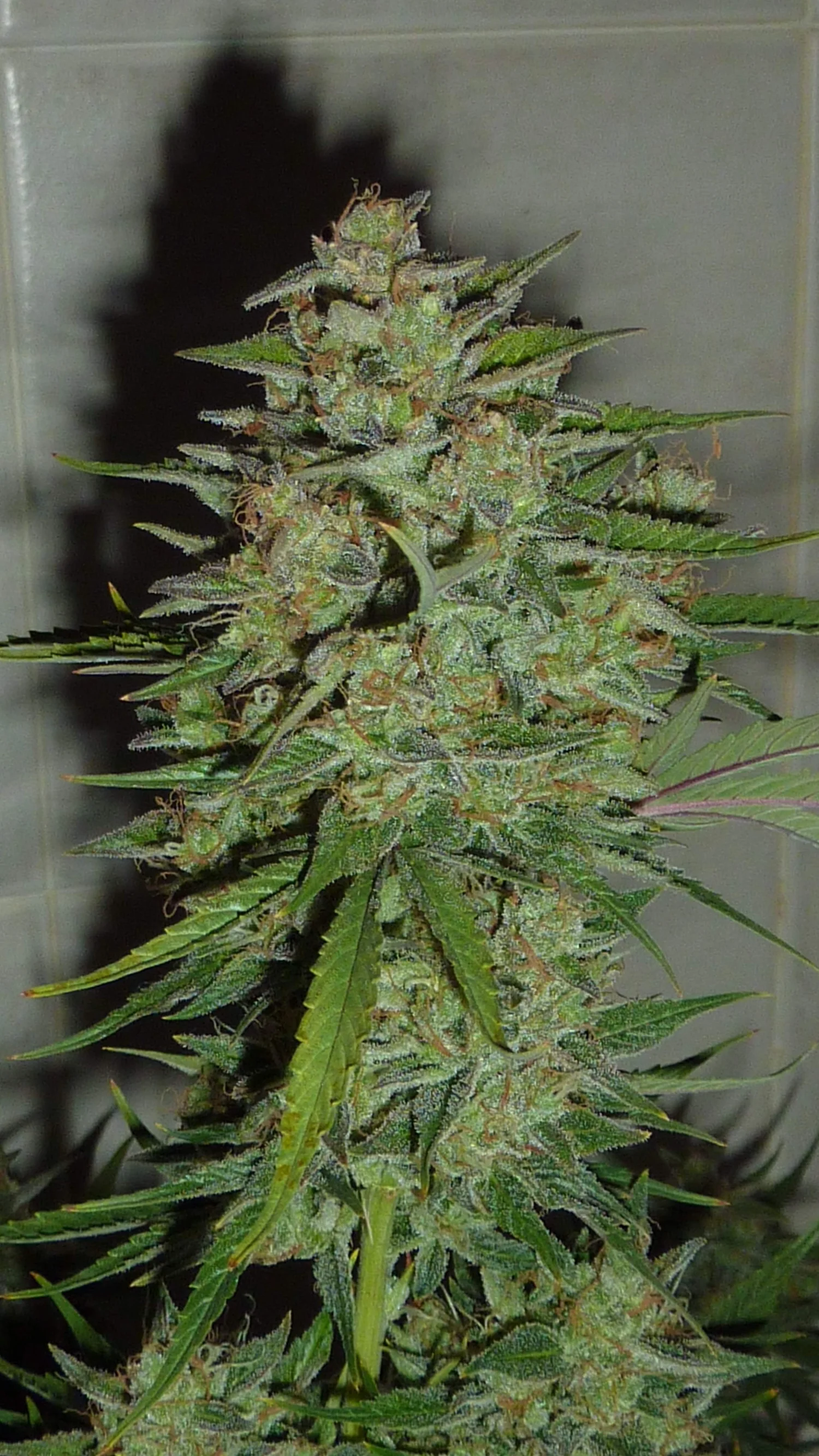 Produktbild 3