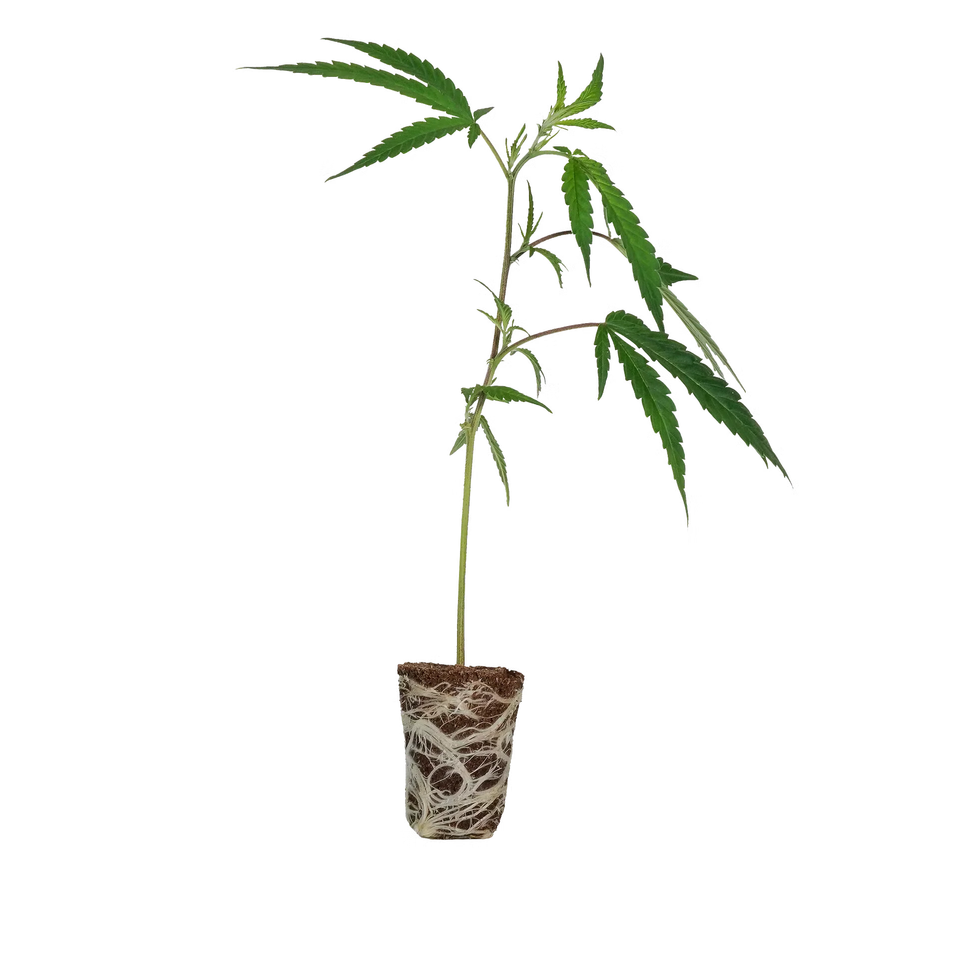 Produktbild 2